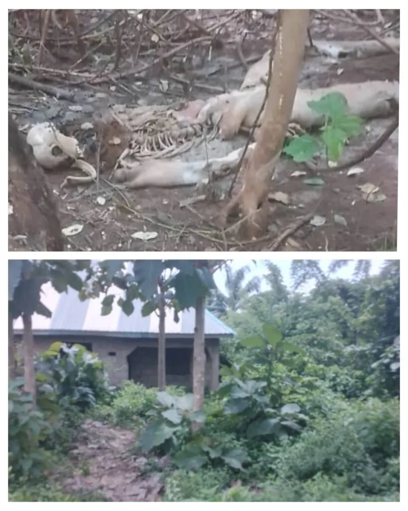 Ekiti Amotekun uncovers decomposing bodies of two young girls inside bush