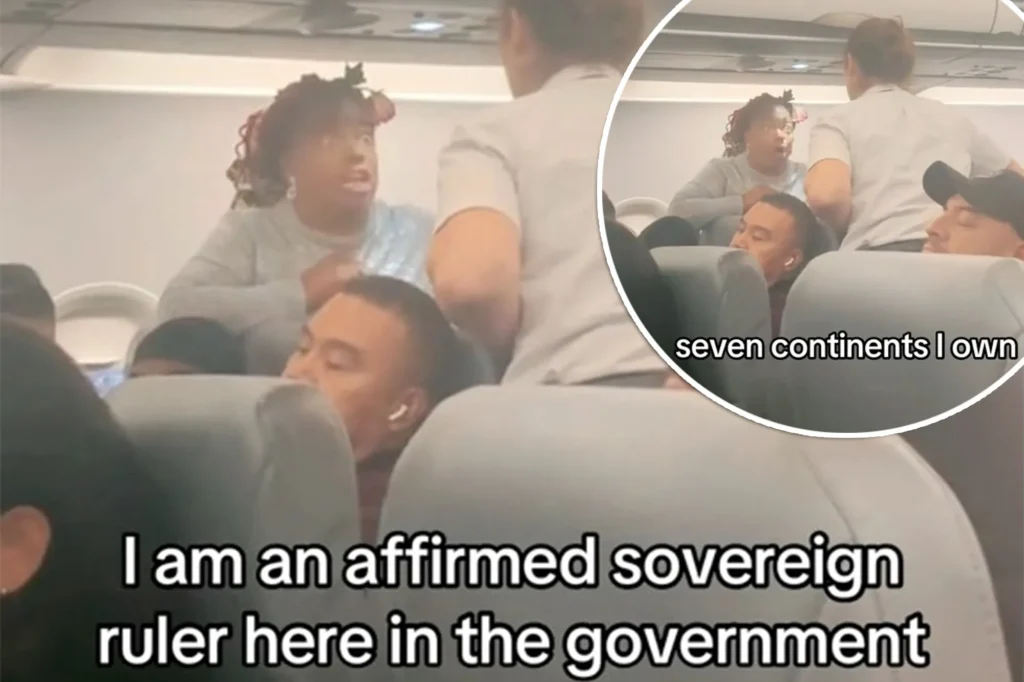 I’m President, I own 7 continents - Airline passenger goes r@nts at air hostess after pilot wouldn’t turn back for her forgotten phone (video)