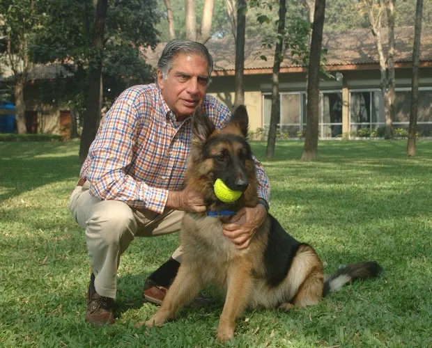 Indian Billionaire's Unusual Will: Dog Inherits Millions