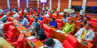 Senate Delays Screening: What It Means for Ministerial Nominees