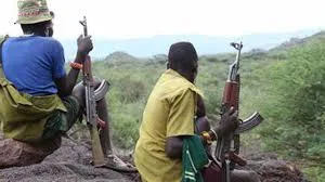 Urgent Update: Bandits Kidnap 16 in Kebbi