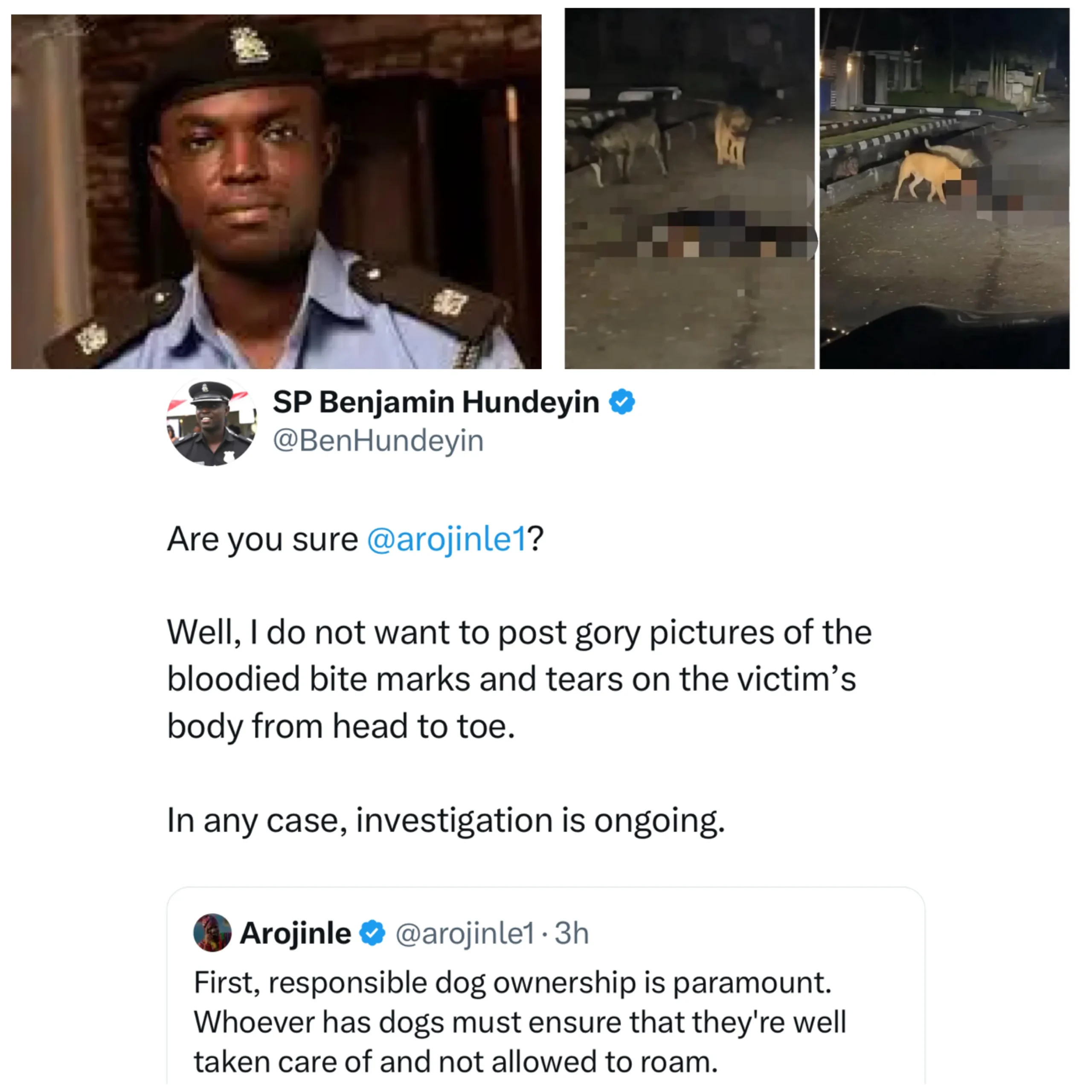 Benjamin Hundeyin Uncovers Bite Marks on Security Guard in Lagos Dog Mauling Case