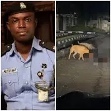 Benjamin Hundeyin Uncovers Bite Marks on Security Guard in Lagos Dog Mauling Case