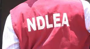 Breaking News: Top NDLEA Officer and Orderly Kidnapped by Gunmen in Delta