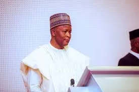 Former Minister Reveals Tinubu's Reason for His Sacking, Not Performance