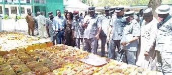 Inside the N86.5 Million Fuel Bust: Adamawa Customs' Major Success