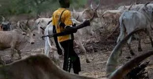 Tragic Incident: Ogun Chief Allegedly Killed by Suspected Herdsmen on His Farm