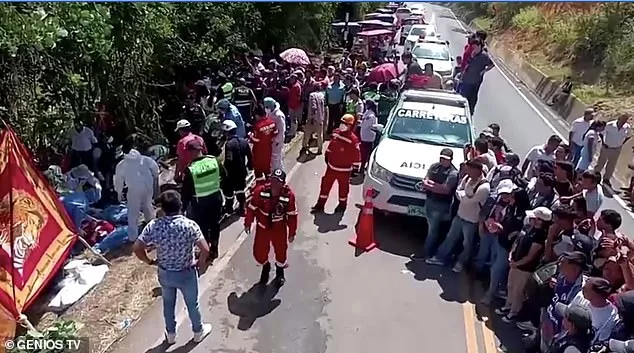 Tragic School Bus Crash in Peru: 17 Dead Including Young Child and Teens