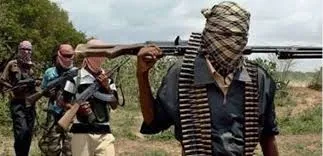 Bandits Refuse N3m Ransom: 26 Zamfara Villagers Still Held Captive