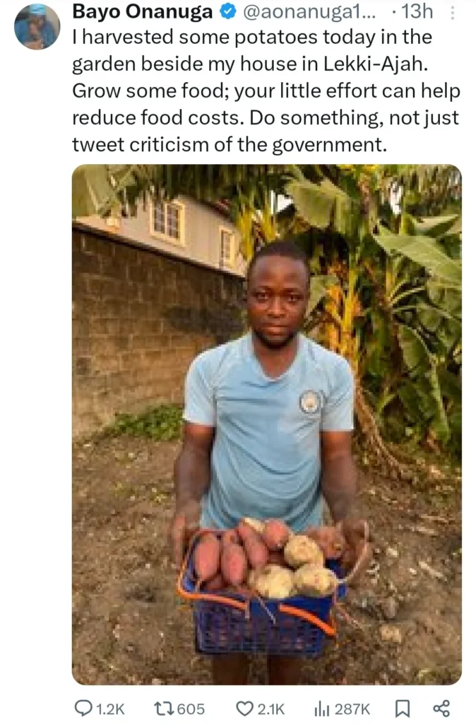 Bayo Onanuga Shares Gardening Success: Nigerian Citizens Motivated by Presidential Aide