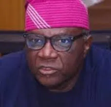 Bayo Onanuga Shares Gardening Success: Nigerian Citizens Motivated by Presidential Aide