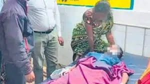 Massive Bee Swarm Attacks School: 32 Students Hospitalized