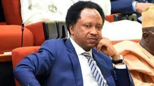 Niger President Tchiani’s Claim Against Tinubu Dismissed by Shehu Sani