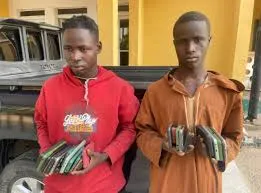 Police in Borno Bust Theft Ring, Recover 25 Phones from Two Arrested Suspects