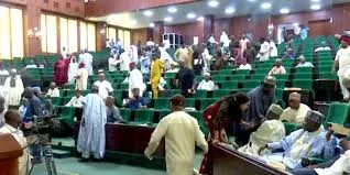 Rowdy Session in House of Reps: Unpacking the Tax Reform Debate