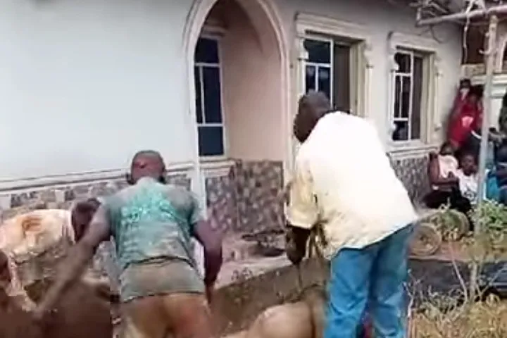 Tragic Crime: Cross River Man Accused of Murdering Mother, Video Surfaces