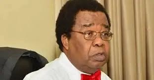 Akinyemi Speaks Out: A 'Slap in the Face' for Nigeria Joining BRICS