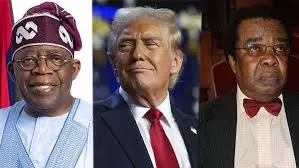 Avoiding a Trump Clash: Former Minister Akinyemi's Advice to President Tinubu
