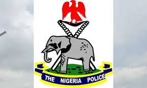 Borno CJTF Member Detained for Allegedly Supplying Food to Boko Haram