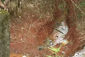 Exploring the Disturbing Case of Two Brothers and the Death of Their Sibling in Anambra