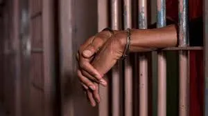 Ibadan's Teacher Jailed for Phone Stealing: Understanding the Verdict