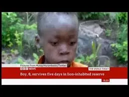 Miraculous Survival: Missing 8-Year-Old Found Alive in Lion-Infested Game Park