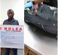 NDLEA Nabs Drug Traffickers: UK-Bound Consignment Seized at Lagos Airport