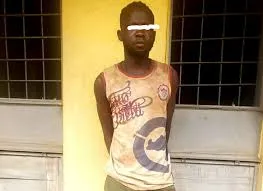 Ogun Police Successfully Arrest Suspected Burglar: Details Inside