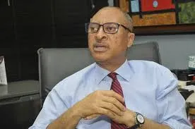 Pat Utomi on Youth Disenfranchisement: How Nigerian Government's Actions Speak Louder