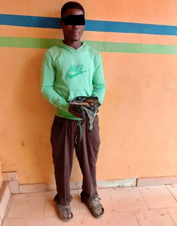 Police Take Action: Man Arrested for Allegedly Poisoning Cows in Ogun