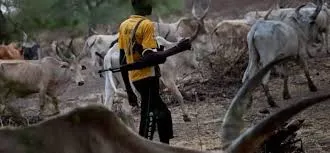 Tragedy in Ondo: Suspected Herdsmen Attack Leaves 5 Farmers Dead