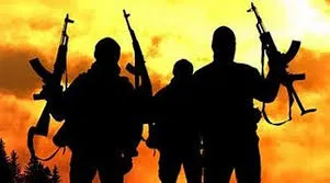 Tragic Attack: Gunmen Ambush Villagers on Condolence Trip in Katsina