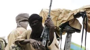 Tragic Incident: Bandits Kill Two Villagers in Kaduna