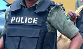 Tragic Misunderstanding: Ogun Security Guards Mistake Man for Thief and Set Him Ablaze