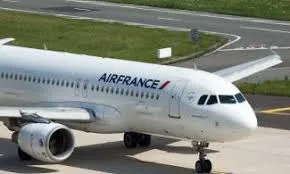 Unruly French Passenger Disrupts Abuja Flight: A Video Breakdown