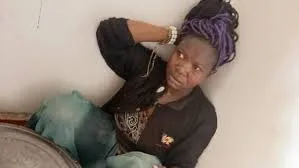 Woman Accused of Abducting Toddler Attempts Insanity Defense: A Legal Insight