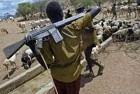 Breaking News: High Casualties in Ebonyi Following Herdsmen's Rampage