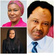 Shehu Sani on Ireti Kingibe's Silence in Natasha's Defense