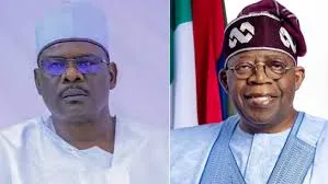 Presidency Condemns Ndume's Divisive Comments on Tinubu